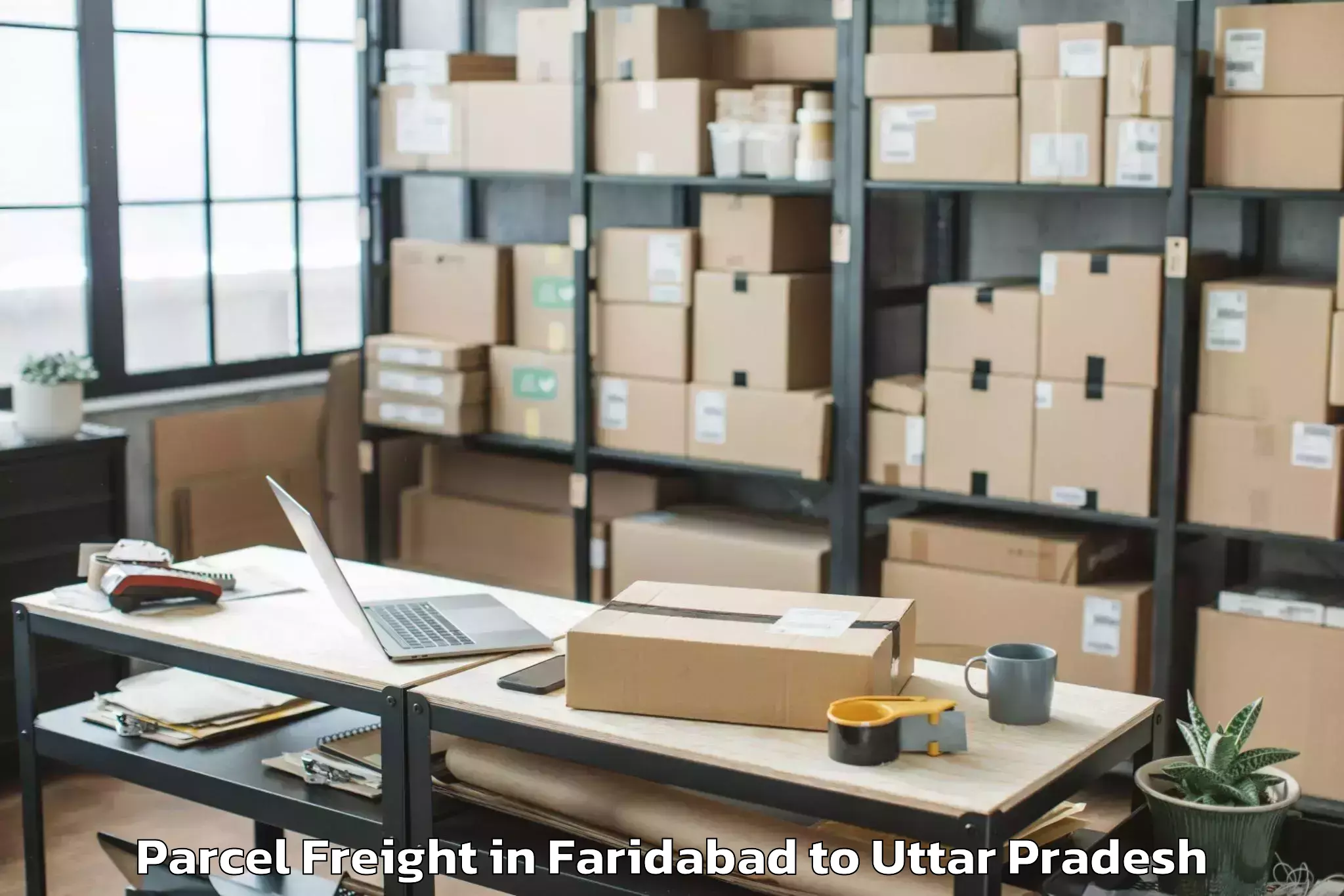 Top Faridabad to Beniganj Parcel Freight Available